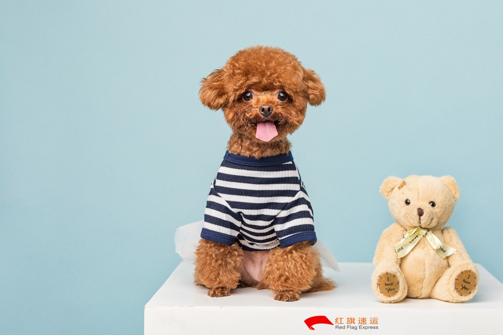 玩具香港轉(zhuǎn)運(yùn)到中國