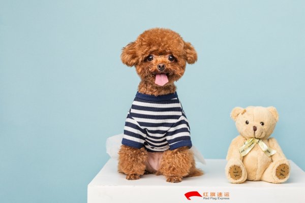 疫情期間香港商品如何轉(zhuǎn)運到湖北隨州呢？